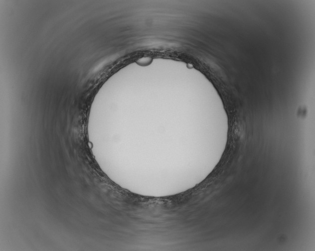 X0000114390869200911131340