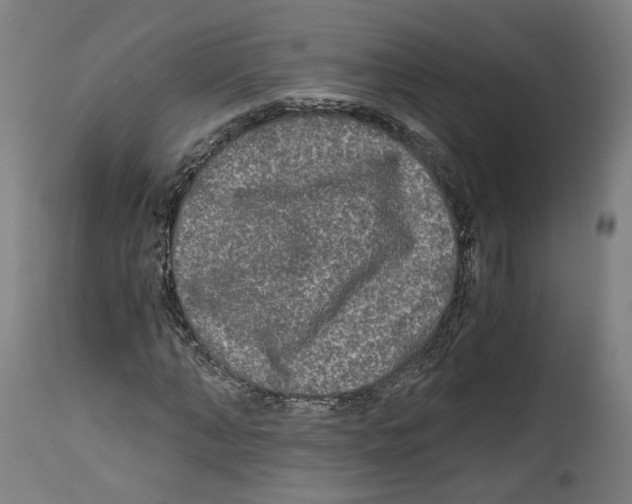 X0000114390870200911131340