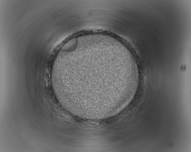 X0000114390871200911131340