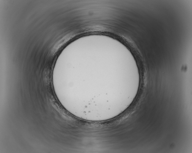 X0000114390873200911131340