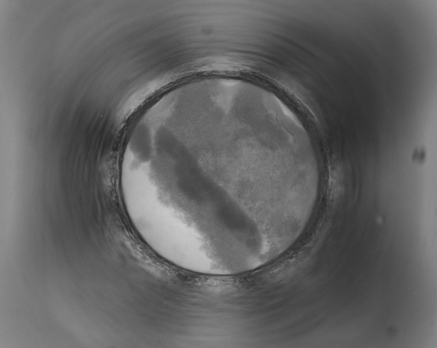 X0000114390874200911131340