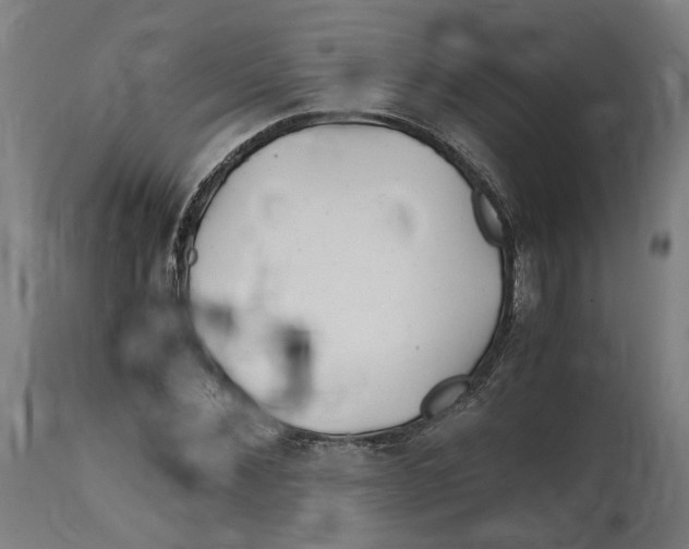 X0000114390876200911131340