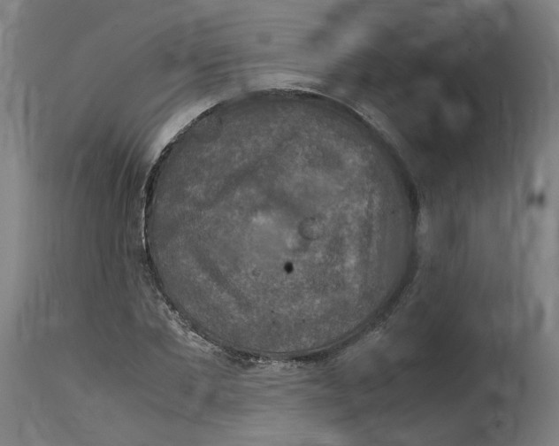 X0000114390877200911131340