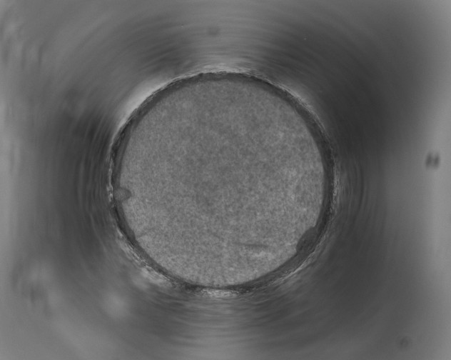 X0000114390878200911131340