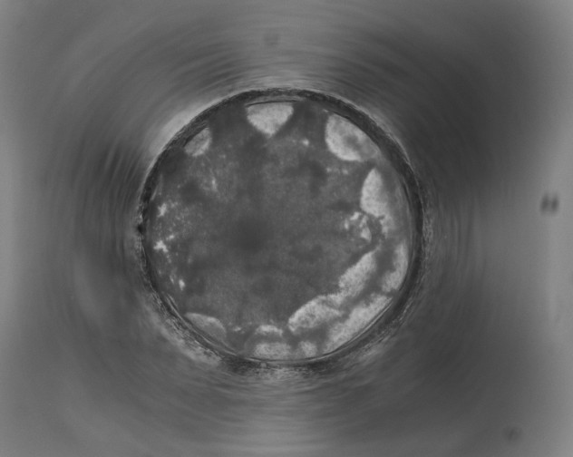 X0000114390879200911131340