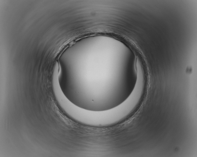 X0000114390881200911131340