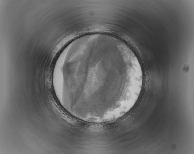 X0000114390882200911131340