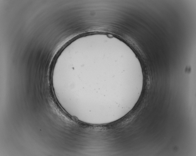 X0000114390884200911131340