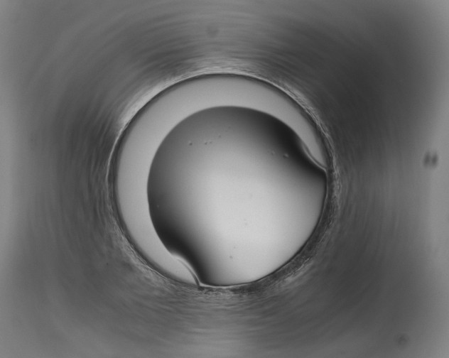 X0000114390885200911131340