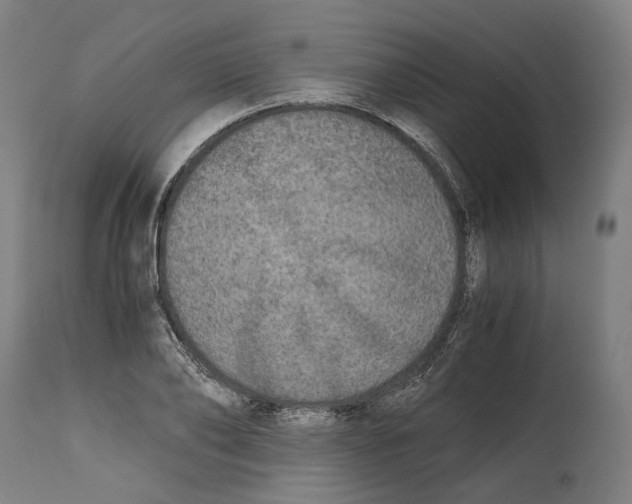 X0000114390886200911131340