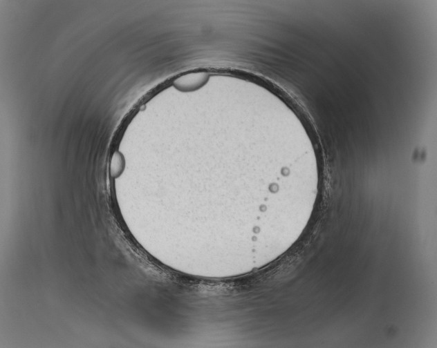 X0000114390887200911131340