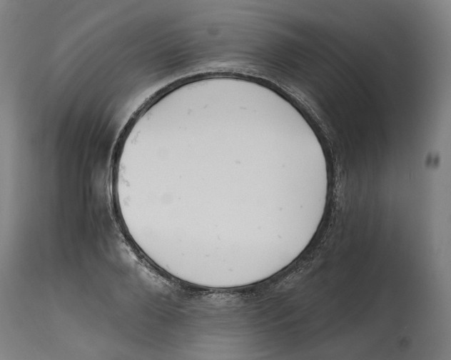 X0000114390888200911131340