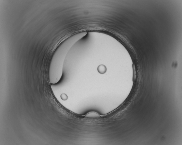 X0000114390889200911131340