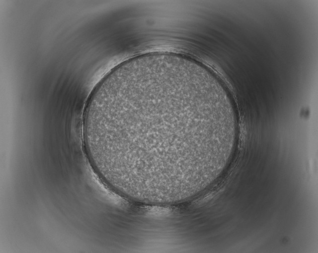 X0000114390890200911131340