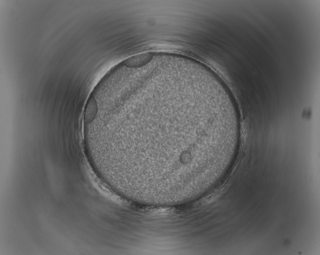 X0000114390891200911131340