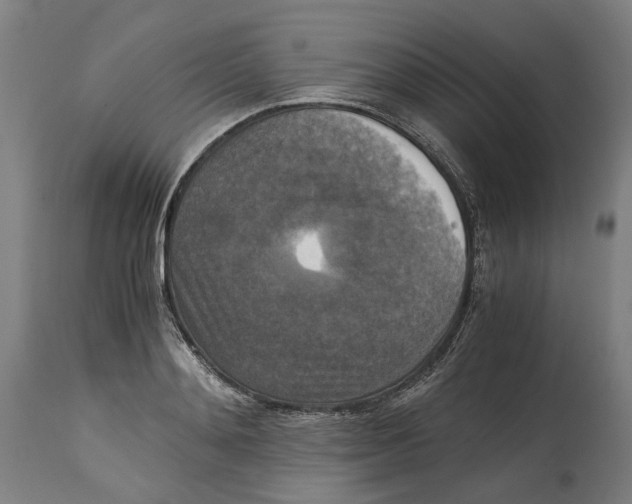 X0000114390892200911131340