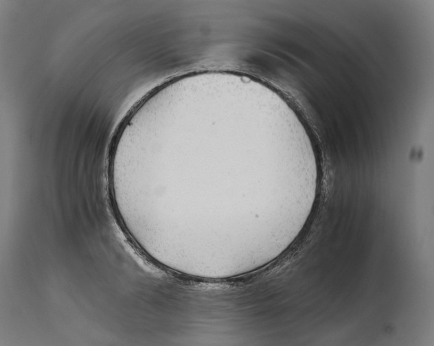 X0000114390894200911131340