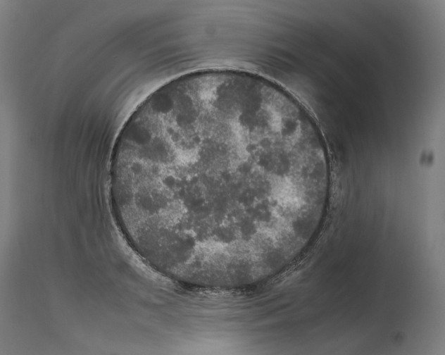 X0000114390895200911131340