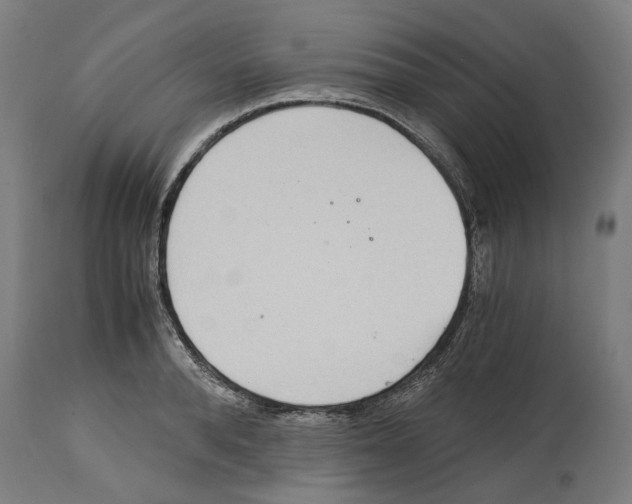 X0000114390896200911131340