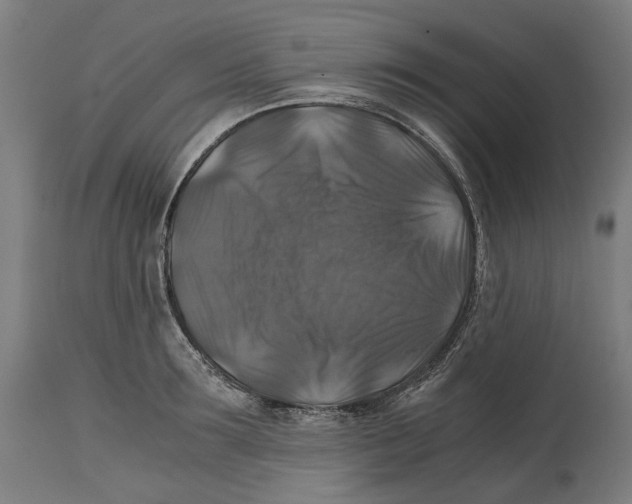 X0000114390899200911131340