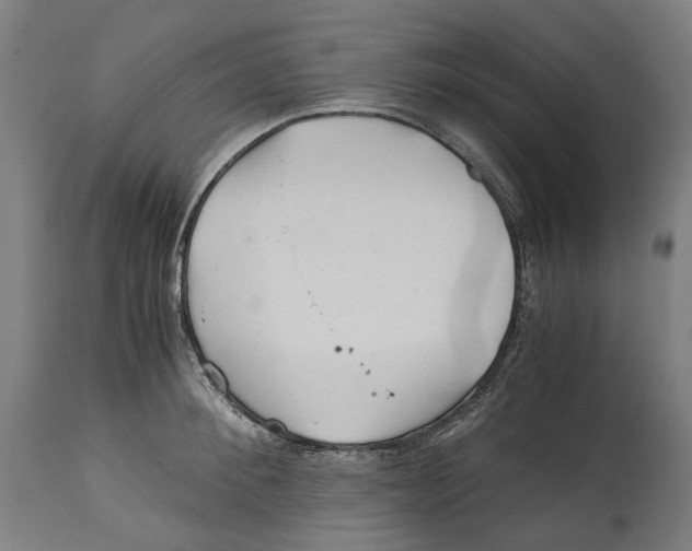 X0000114390900200911131340