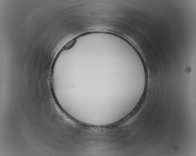 X0000114390901200911131340