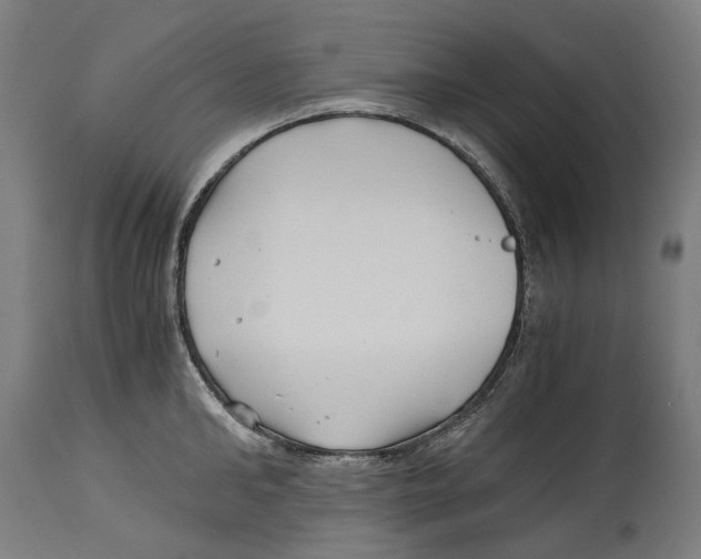 X0000114390902200911131340