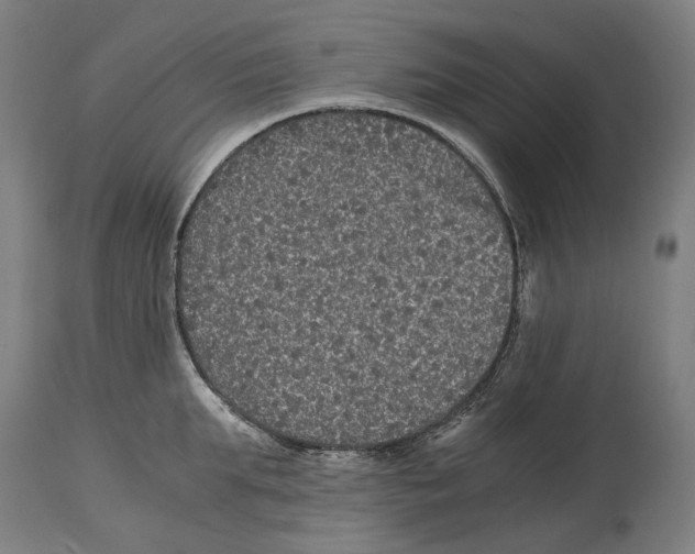 X0000114390903200911131340