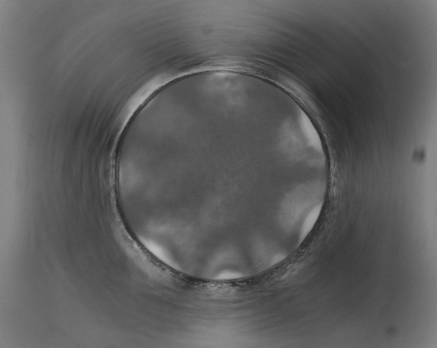 X0000114390907200911131340