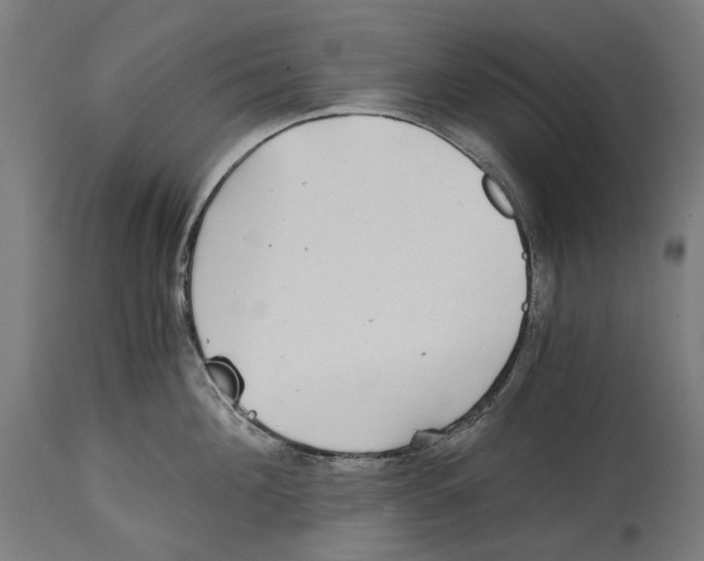 X0000114390908200911131340