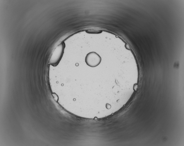 X0000114390909200911131340