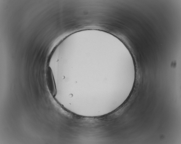 X0000114390910200911131340