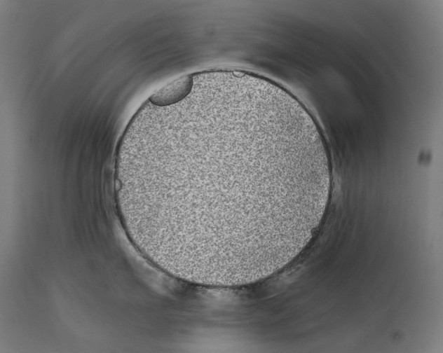 X0000114390911200911131340