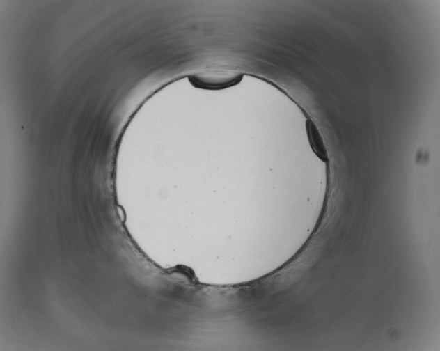 X0000114390912200911131340