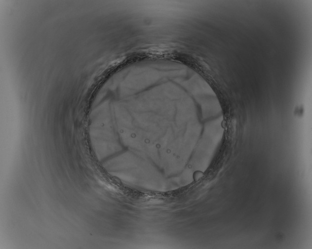 X0000114390913200911131339