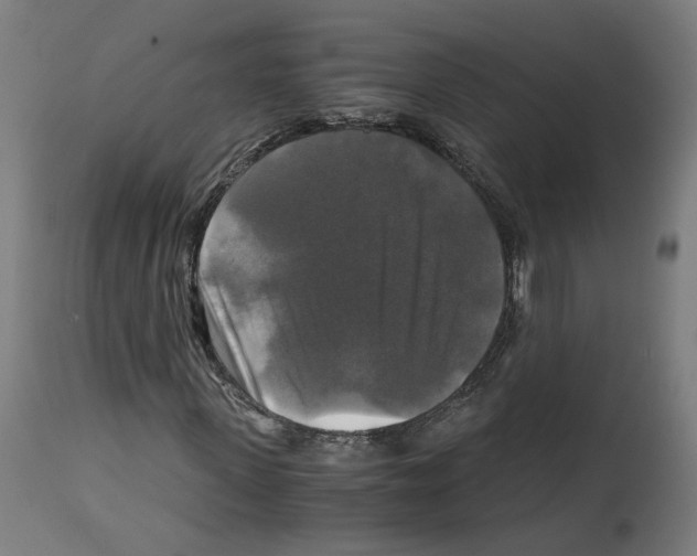 X0000114390915200911131339