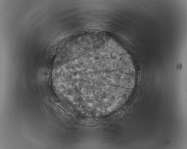 X0000114390917200911131339