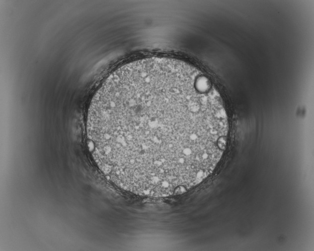 X0000114390918200911131339