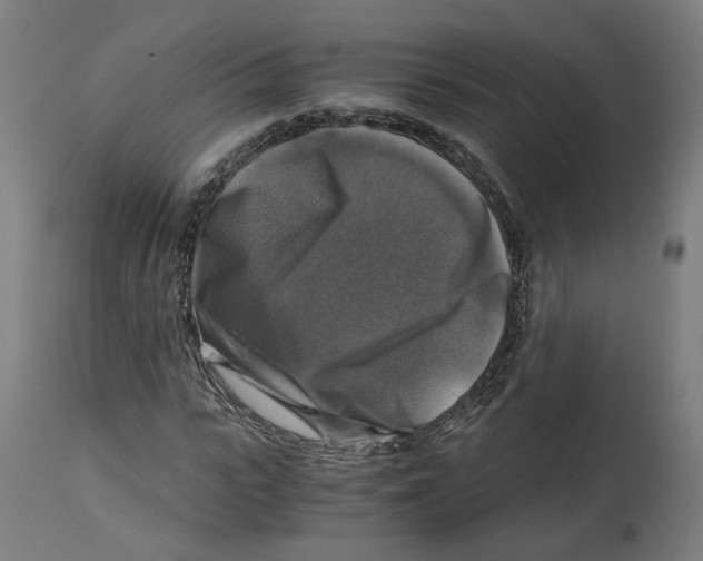 X0000114390919200911131339