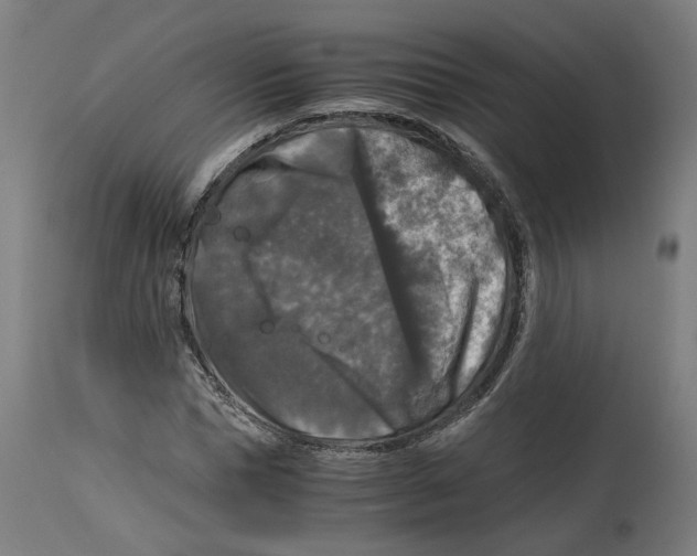 X0000114390921200911131339