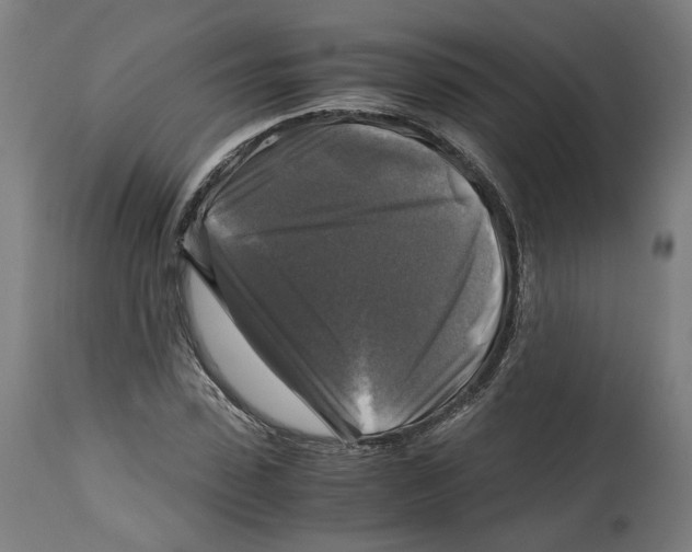 X0000114390923200911131339