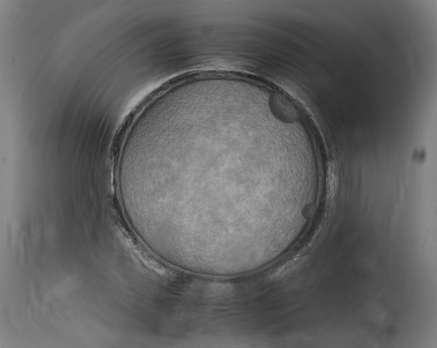 X0000114390925200911131339