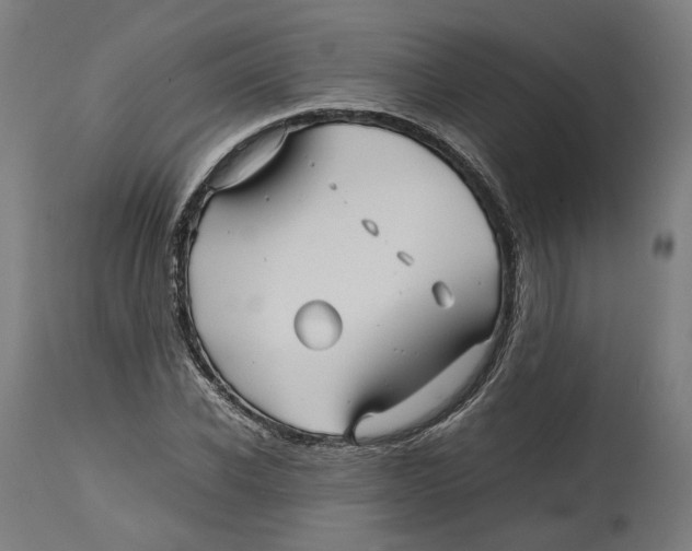 X0000114390926200911131339