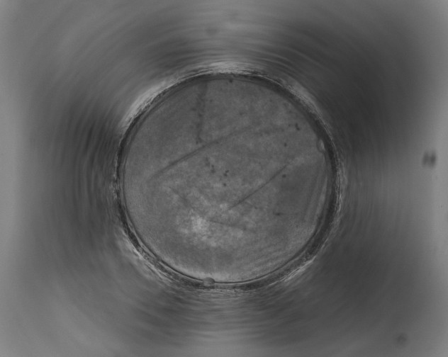 X0000114390930200911131339