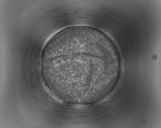 X0000114390933200911131339