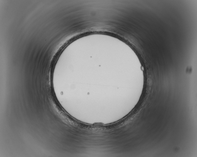 X0000114390934200911131339