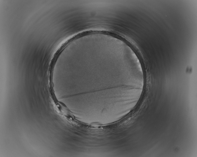 X0000114390935200911131339