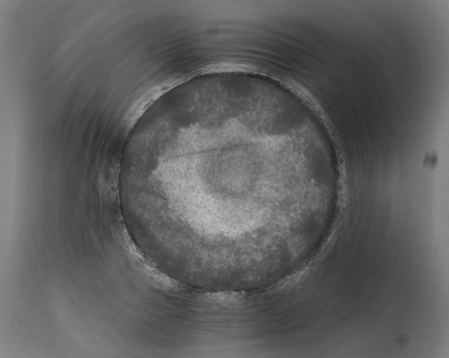 X0000114390937200911131339