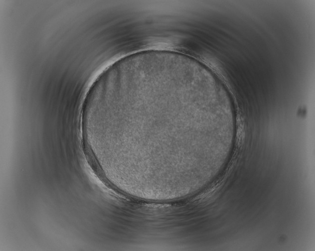 X0000114390939200911131339