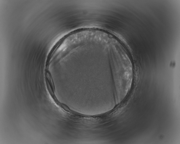 X0000114390943200911131339